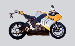 Hammerhaai 1190