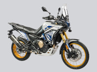DS800X Rally