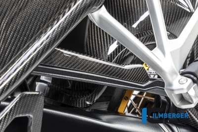 Carbon Ilmberger brake line cover BMW R 1250 GS