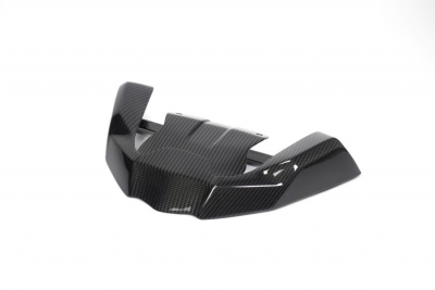 Carbon Ilmberger beak extension front BMW R 1250 GS