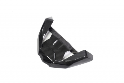 Carbon Ilmberger beak extension front BMW R 1250 GS