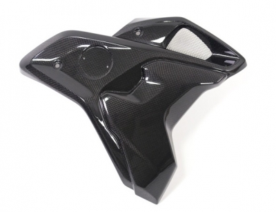 Carbon Ilmberger wind tunnel incl. Flap Set BMW R 1250 GS