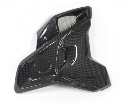 Tnel de viento Ilmberger de carbono incl. juego de flaps BMW R 1250 GS