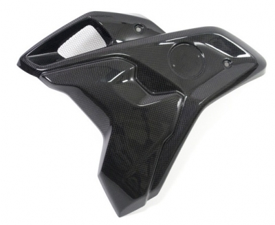 Carbon Ilmberger Windkanal inkl. Flap Set BMW R 1250 GS