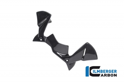 Carbon Ilmberger Vindavvisare p cockpit BMW R 1250 GS