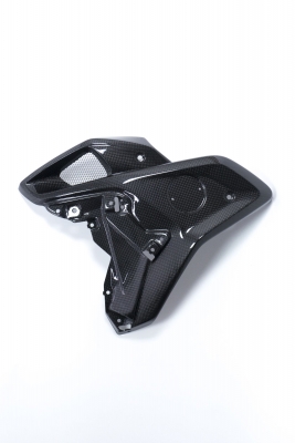 Carbon Ilmberger Windkanal ohne Flap Set BMW R 1250 GS