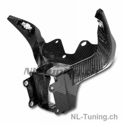 Porta instrumentos de carbono Ilmberger Racing BMW S 1000 RR