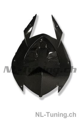 Tapa bastidor trasero carbono Ilmberger BMW S 1000 RR