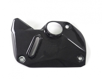Carbon Ilmberger Abdeckung unterm Rahmen Set Ducati Monster 1200