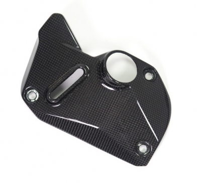Carbon Ilmberger Abdeckung unterm Rahmen Set Ducati Monster 1200