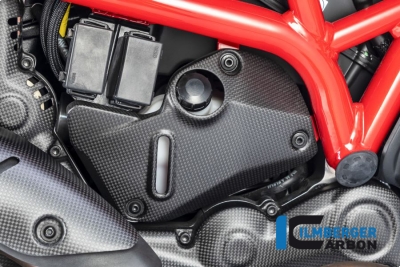 Carbon Ilmberger Abdeckung unterm Rahmen Set Ducati Monster 1200