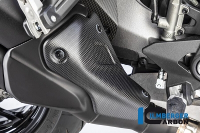 Carbono Ilmberger escape proteccin trmica Ducati Monster 1200