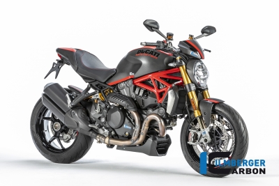 Carbon Ilmberger Kettenschutz hinten Ducati Monster 1200