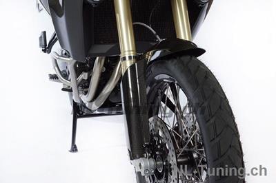 Copriruota anteriore in carbonio BMW F 800 GS Adventure