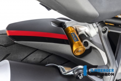 Carbon Ilmberger Hinterradabdeckung lang Ducati Monster 1200 S