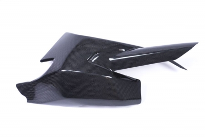 Carbon Ilmberger swingarm protector Ducati Monster 1200