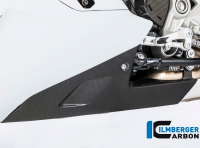 Alern motor Ilmberger carbono Ducati Supersport 939