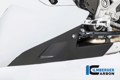Alern motor Ilmberger carbono Ducati Supersport 939
