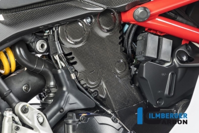 Carbon Ilmberger Zahnriemenabdeckung vertikal Ducati Supersport 939