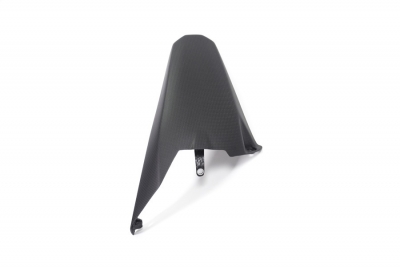 Carbon Ilmberger rear wheel cover long Ducati Monster 1200