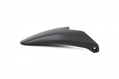 Carbon Ilmberger rear wheel cover long Ducati Monster 1200