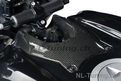 Carbon Ilmberger contactslot deksel Ducati Streetfighter 1098