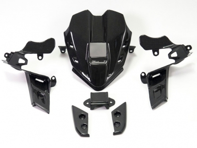 Carbon Ilmberger Instrumentenabdeckung Ducati Panigale V4