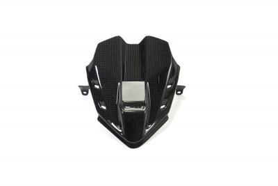 Carbon Ilmberger Instrumentenabdeckung Ducati Panigale V4