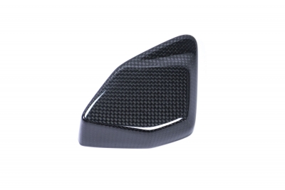 Carbon Ilmberger cover ESA box BMW R 1250 GS Adventure