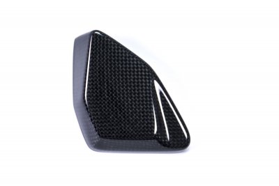 Carbon Ilmberger cover ESA box BMW R 1250 GS Adventure