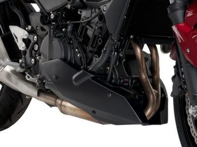 Puig Bugspoiler Kawasaki Z400