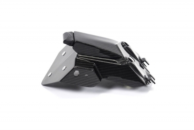 Carbon Ilmberger Support de plaque BMW S 1000 RR