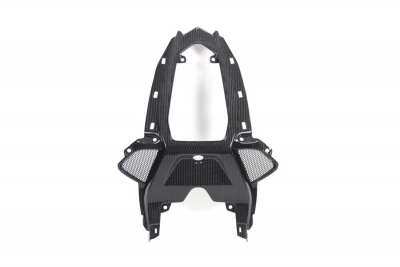 Carbon Ilmberger rear center part for pillion seat BMW S 1000 RR