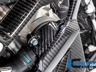 Carbon Ilmberger Wasserpumpendeckelabdeckung BMW S 1000 RR