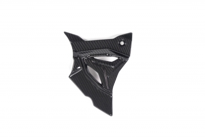 Carbon Ilmberger sprocket cover BMW S 1000 RR