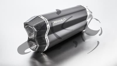 Exhaust Remus 8 BMW F 850 GS