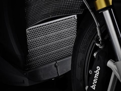 Performance radiator grille BMW S 1000 R