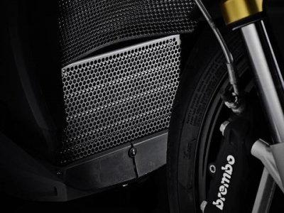 Griglia radiatore Performance BMW S 1000 R