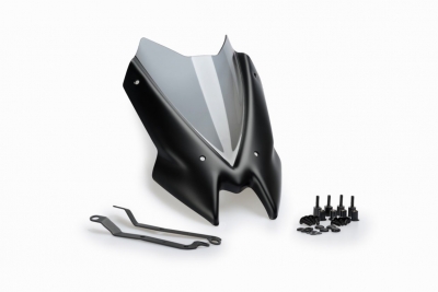 Puig disco deportivo Kawasaki Z900