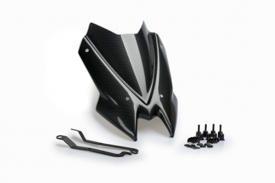 Puig disco deportivo Kawasaki Z900