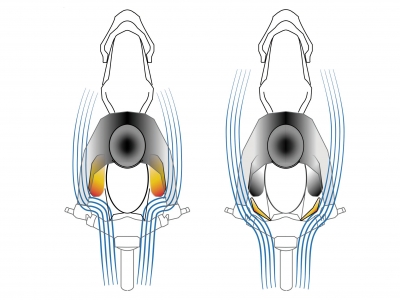 Puig K�hlerabdeckung Suzuki SV 650