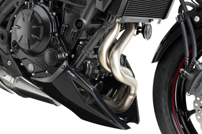 Puig Bugspoiler Kawasaki Z650 / S