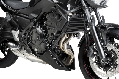 Puig Bugspoiler Kawasaki Z650 / S