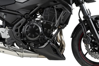 Puig Bugspoiler Kawasaki Z650 / S