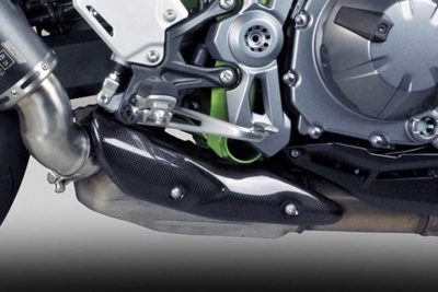 Auspuff Bodis Carbon Abdeckung Kawasaki Z900