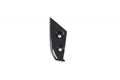 Carbon Ilmberger instrument cover Ducati Panigale V4 R