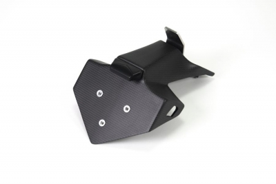 Carbon Ilmberger license plate holder Ducati Panigale V4 R