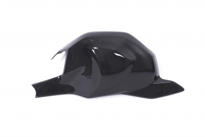 Carbon Ilmberger Schwingenabdeckung Ducati Panigale V4 R