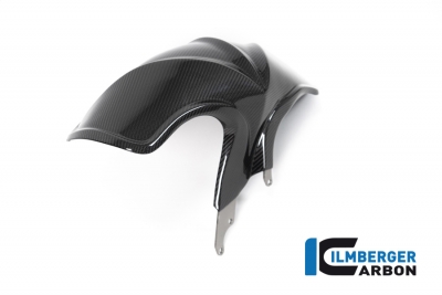 Carbon Ilmberger Kotflgel hinten BMW R 1250 R