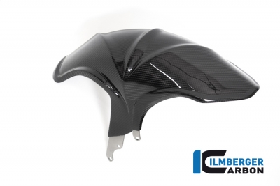 Carbon Ilmberger rear fender BMW R 1250 R